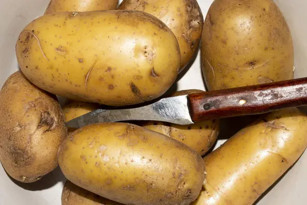 Свежий Неочищенный Картофель — стоковое фото