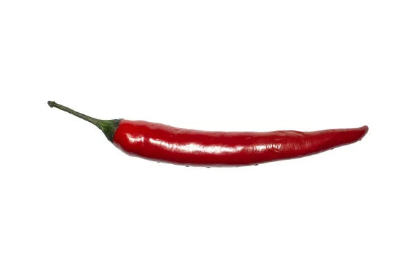 Hot Chili Peper Geïsoleerd Een Witte Achtergrond — Stockfoto