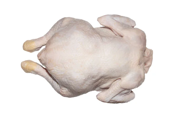 Carcassa Pollo Sfondo Bianco Pollo Eviscerato Sfondo Bianco — Foto Stock