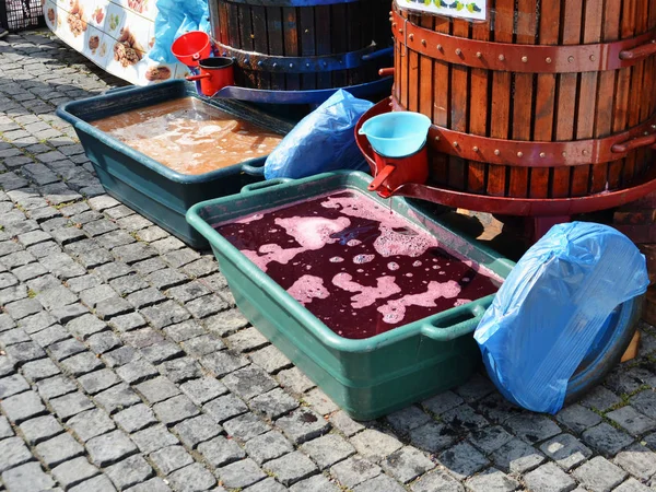 Jus de raisin ou vin jeune dégouline dans des baignoires en plastique — Photo