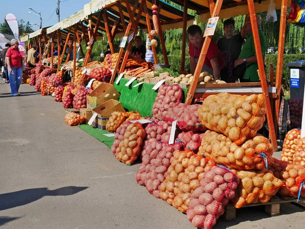 Légumes frais au marché — Photo