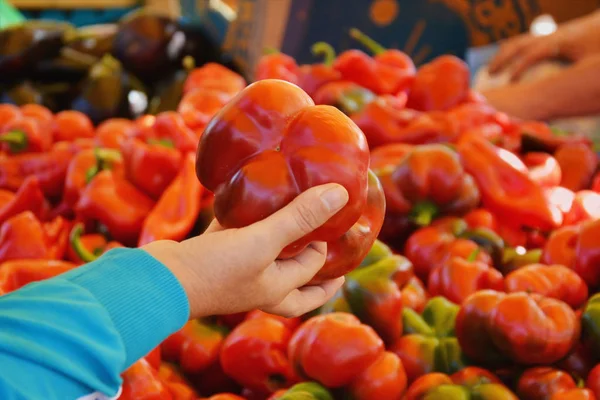 Mano masculina sosteniendo dos pimientos dulces rojos —  Fotos de Stock