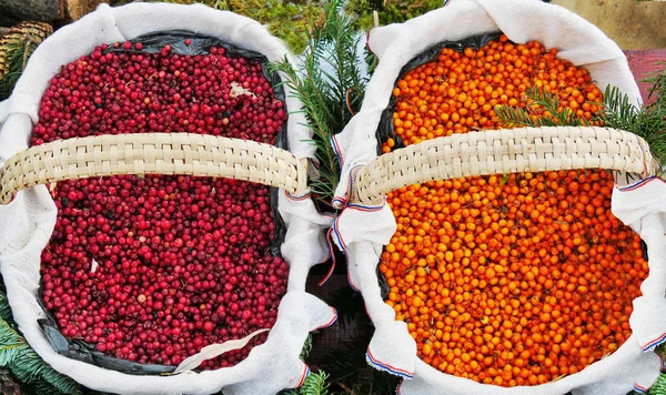 Autumn berries in two baskets — Stock Photo, Image