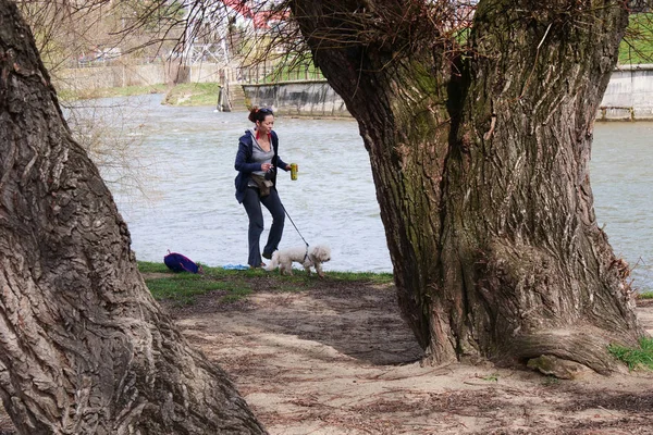 Ung kvinna går en liten, vit hund nära floden — Stockfoto