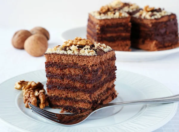 Layered chocolate cake squares with chocolate cream filling and walnut on white plate — 스톡 사진
