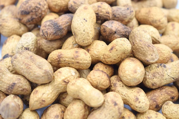 Roasted peanuts seeds, organic groundnut