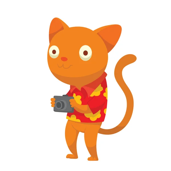 Cute ginger cat-tourist — Stock Vector