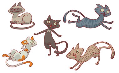 Beş sevimli farklı kediler kümesi