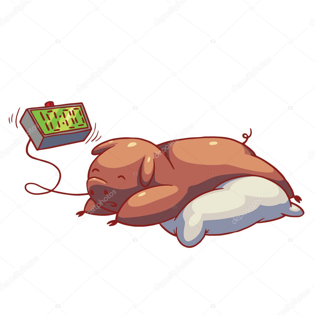 Funny plump pig sleeping, color image 
