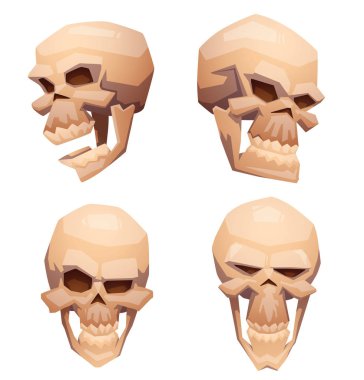 insan kafatasları kümesi