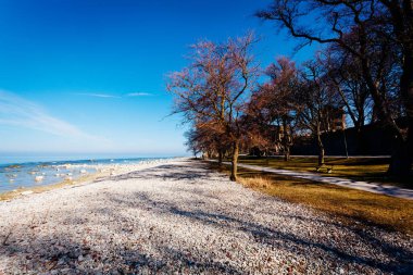 Ağaçlı güzel deniz manzarası