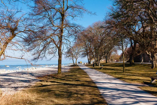 Beau Paysage Mer Avec Des Arbres — Photo