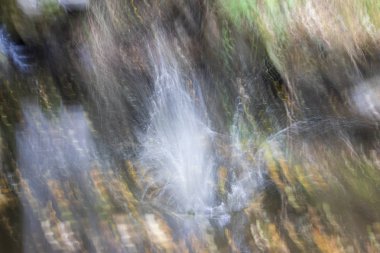 Farklı güzel arka planlar için resim