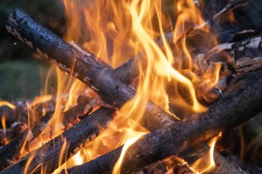 Isınmak ya da bir şeyler pişirmek için yanmış odun ateşi.