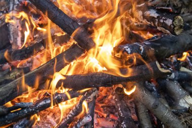 Isınmak ya da bir şeyler pişirmek için yanmış odun ateşi.