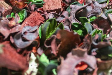 Farklı güzel arka planlar için resim