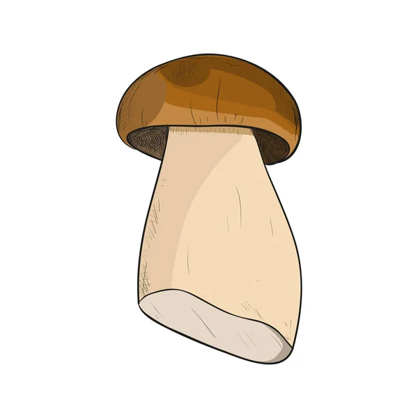 Кольоровий ескіз гриба — стоковий вектор