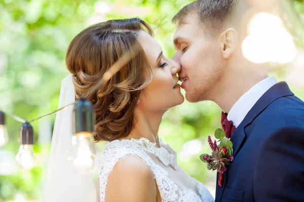 Belos Recém Casados Sensualmente Beijando Parque Close — Fotografia de Stock