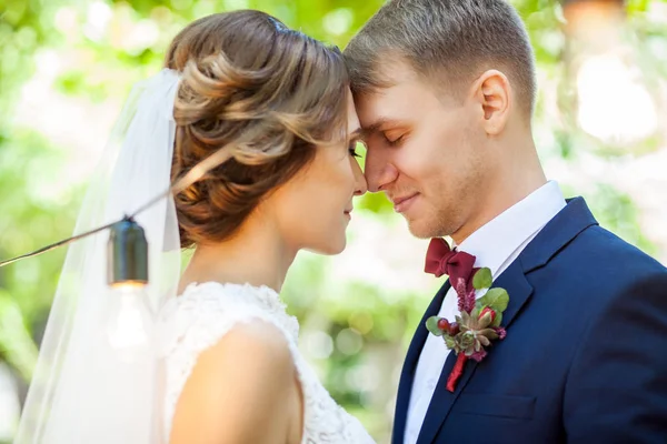 Belos Recém Casados Sensualmente Beijando Parque Close — Fotografia de Stock