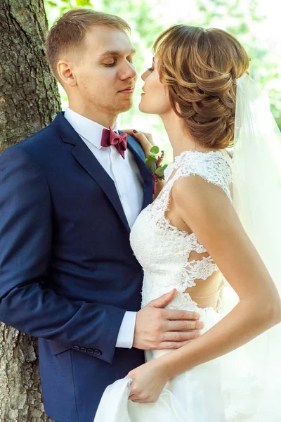 Belos Recém Casados Sensualmente Beijando Parque Close — Fotografia de Stock