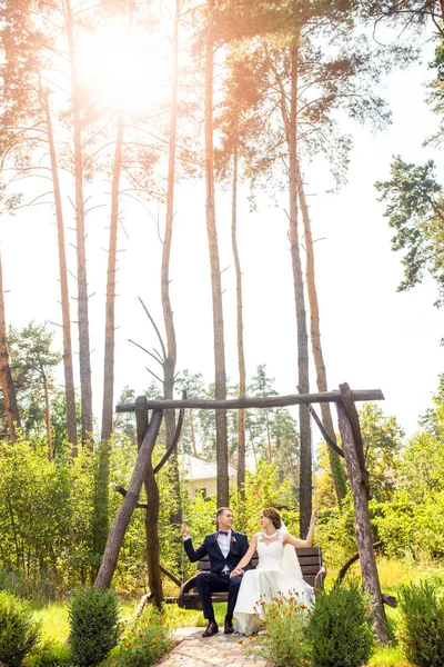 Noiva Atraente Com Noivo Sentado Balanço Madeira Entre Árvores Parque — Fotografia de Stock
