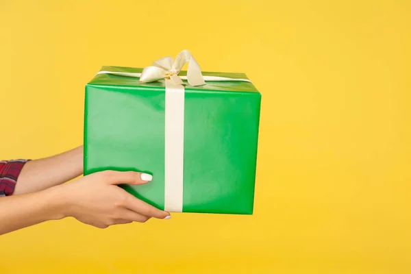 상자를 녹색으로 포장된 선물을 팔들고 크리스마스 권투의 인사를 나누는 여성들의 — 스톡 사진