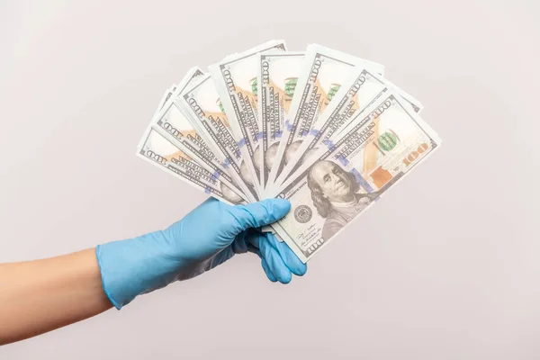 Profile side view closeup of human hand in blue surgical gloves holding and showing fan of american dollar money in hand. indoor, studio shot, isolated on gray background.