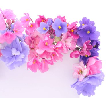 Menekşe güzel çiçekler, arka plan.