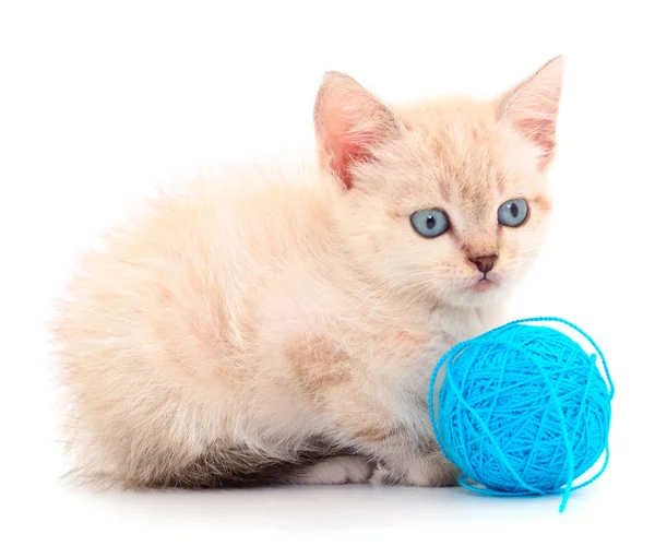 Gatinho com bola de fio . — Fotografia de Stock