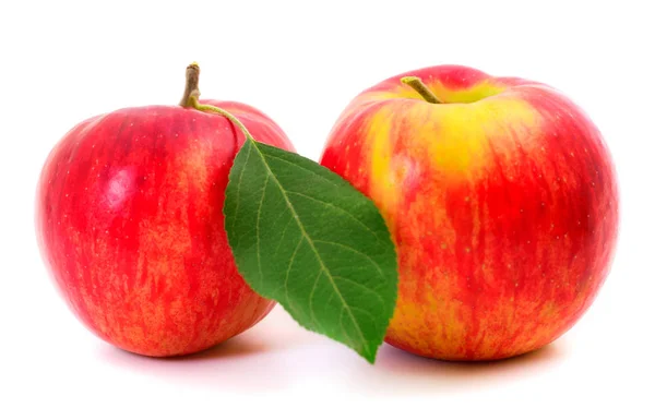 Verse rode appels. — Stockfoto