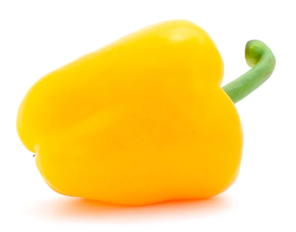 Pepper yellow isolated. Stock Image