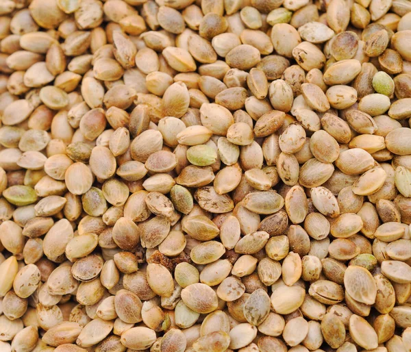 Mnoho Konopných Semen Organická Semena Konopí Horní Pohled Pozadí Semena — Stock fotografie