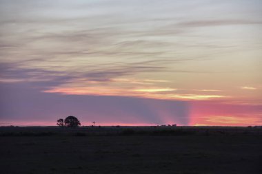 Pampas Günbatımı manzarası, La pampa, Arjantin