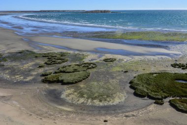 Alçak gelgit kumsalı, Yarımada Valdes, Patagonya, Arjantin