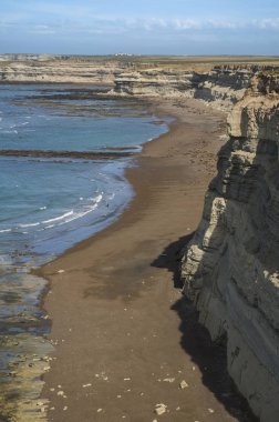 Patagonya 'da kayalıkları olan kıyı manzarası Arjantin