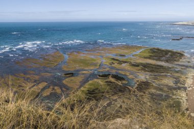 Patagonya 'da kayalıkları olan kıyı manzarası Arjantin