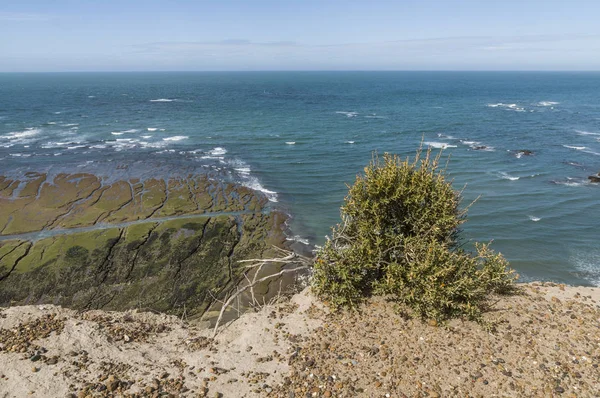 Paisagem Costeira Com Falésias Patagônia Argentina — Fotografia de Stock