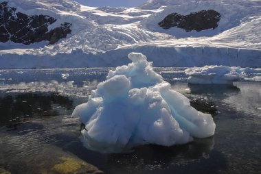 Floating ice near the Antarctic Peninsula. clipart
