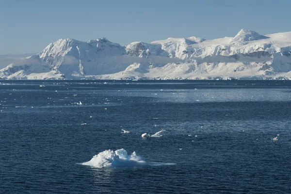 Antarktiskt Landskap Neko Hamn Antarktis — Stockfoto