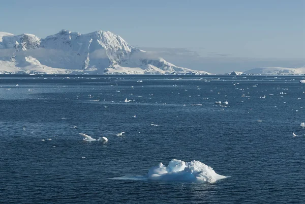 南極のネコ港の南極風景 — ストック写真