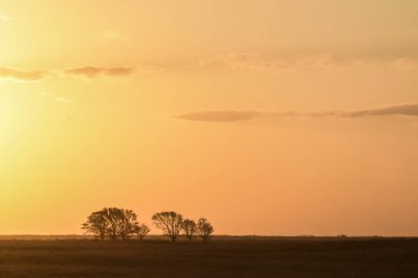 Pampas Günbatımı manzarası, La pampa, Arjantin