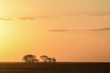 Pampas sunset landscape, La pampa, Argentina clipart