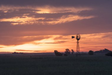 Pampas Günbatımı manzarası, La pampa, Arjantin