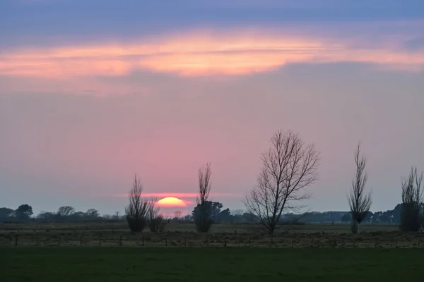 Molino Viento Paisaje Las Pampas Pampa Argentina — Foto de Stock