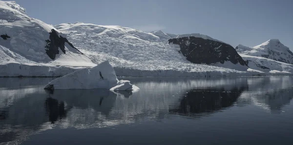 Paraiso Bay Hory Krajina Antarktida Pennsula — Stock fotografie