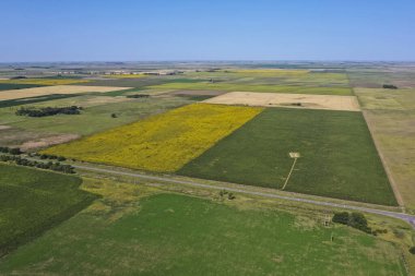 Mısır ve ayçiçeği ekimi, Buenos Aires Eyaleti, Arjantin