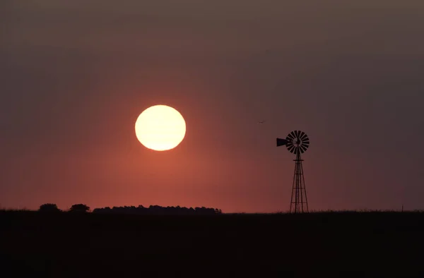 Molino Viento Campo Atardecer Pampa Patagonia Argentina — Foto de Stock