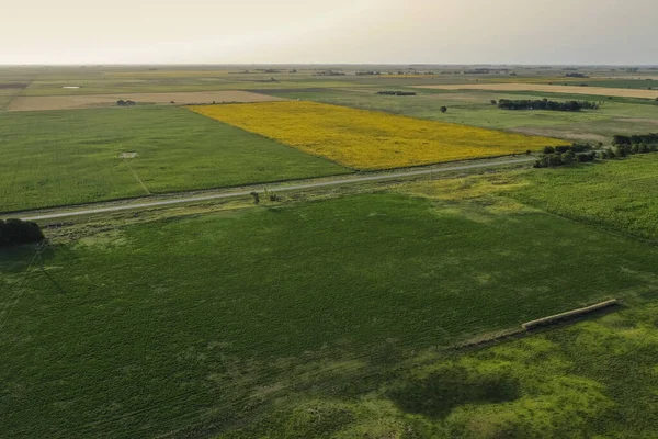 Bale Grass Countryside Prowincja Buenos Aires Argentyna — Zdjęcie stockowe