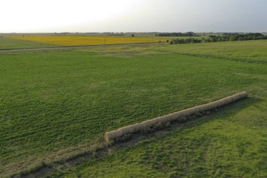 Buenos Aires Eyaleti, Argenti kırsalında bir çim fırtınası
