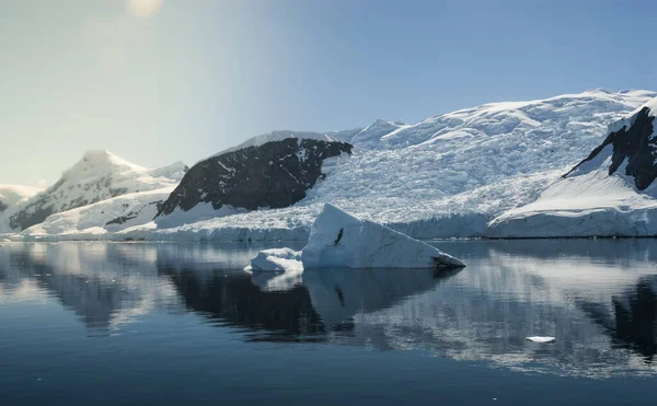 Paraiso Bay Gebirgslandschaft Antarktis Pennsula — Stockfoto